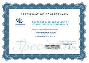 coach professionnel, certification coach, formation coach, zenpro, psychologie positive, Anelor Dabo, Cécile Neuville, formation en ligne, animateur du bonheur, formateur sur image