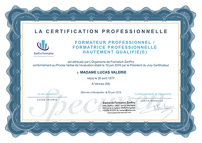 coach professionnel, certification coach, formation coach, zenpro, psychologie positive, Anelor Dabo, Cécile Neuville, formation en ligne, animateur du bonheur, formateur sur image