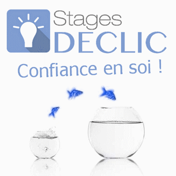 coach professionnel, certification coach, formation coach, zenpro, psychologie positive, Anelor Dabo, Cécile Neuville, formation en ligne, animateur du bonheur, formateur sur image