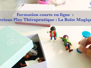 NOUVELLE formation / Serious Play Thérapeutique / 50 euros