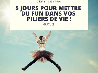 5 jours pour mettre du FUN dans vos différents piliers de vie !