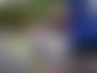 Campeonato Europeu de Maratona | Bruxelas