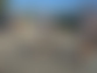 2º Trilho dos Cágados | Cartaxo