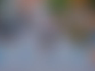 5ª Corrida de Monte Real | Leiria