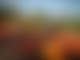 Meeting Jovem CAOeste | Torres Vedras