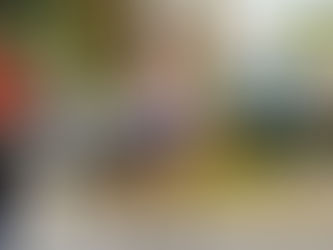 38º Grande Prémio “Carnaval” do Alto do Moinho | Seixal