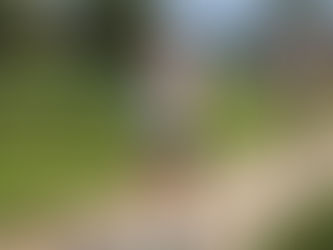 Campeonato Regional de Corta Mato Longo | Santa Iria Azóia