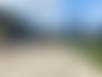 Octakids VII | Mafra