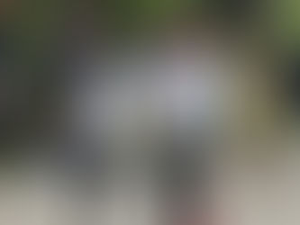 Corta-Mato de Abertura AAL 2024 | Torres Vedras