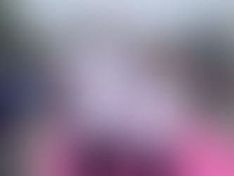 Aves em Movimento 2024 | Santo Tirso