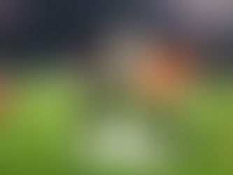 11ª Corrida São Silvestre - Casa do Benfica de Vendas Novas