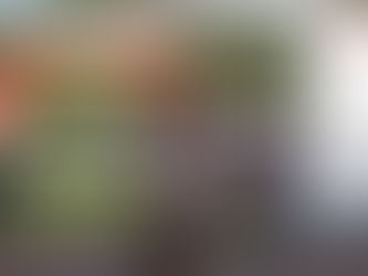 Corrida Auchan Live | Jamor