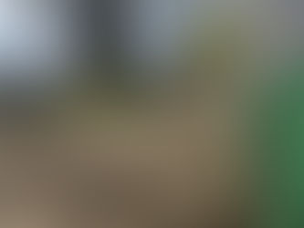 41º Cross de Matos Velhos | Torres Vedras