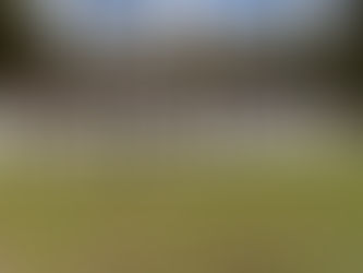 10ª Q8 Meia Maratona de Famalicão