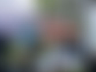 Campeonato Nacional de Corta-Mato Escolar 2024 | Setúbal