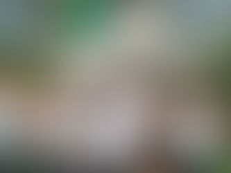 Corrida Sporting 2023 | Lisboa