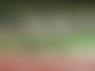 Torneio São Pedro | Torres Vedras