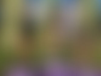 Campeonato Nacional Universitário | Beja