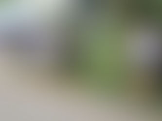 Corta Mato de Abertura AAL 2023 | Torres Vedras