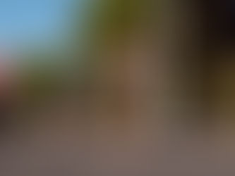 Bimbo Global Race 2024 | Lisboa