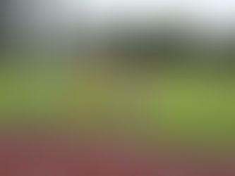 Campeonato Nacional de 10000m em Pista Master 2025 | Marinha Grande