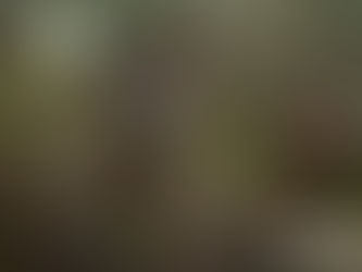 REN 7ª Corrida e Caminhada de Pedome | Famalicão