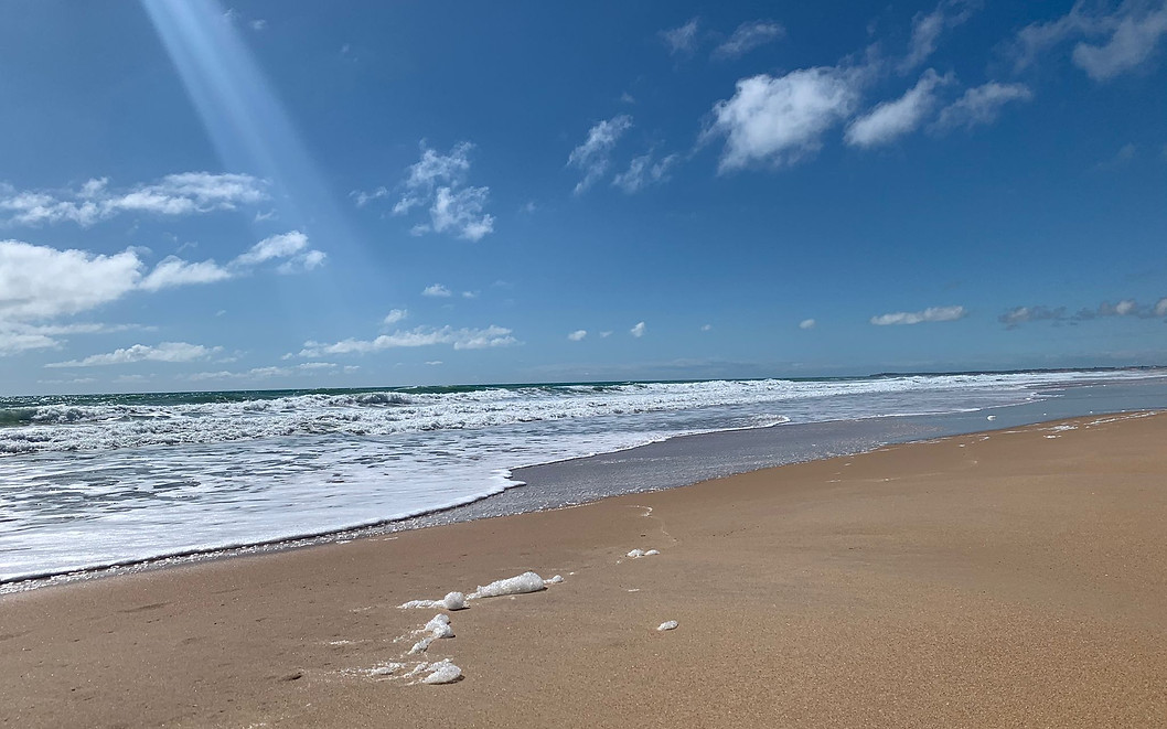 beach5.jpeg
