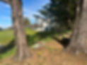 IMG_1775.jpeg