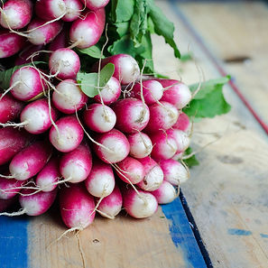 Fresh Red Radishes