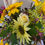 Thumbnail: Mother’s Day bouquet
