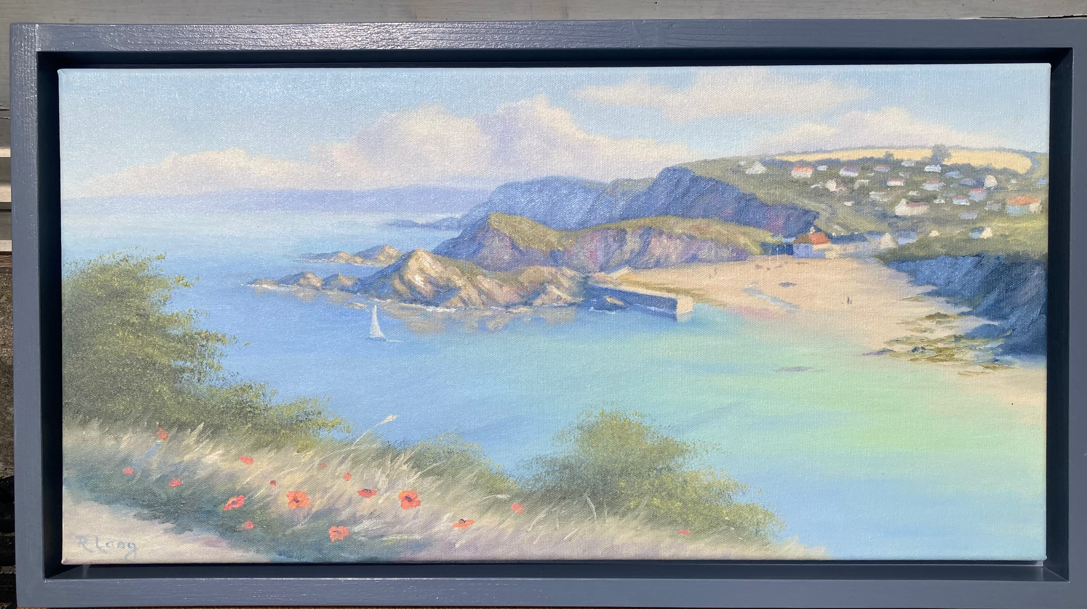 Safe Harbour Hope Cove 