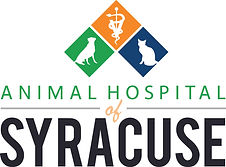 syracuse logo.jpg