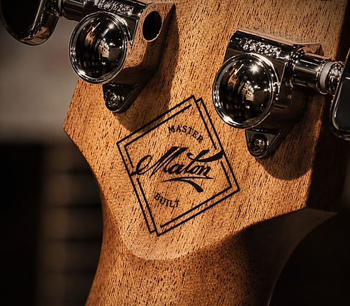 Maton_enhanced_edited.jpg