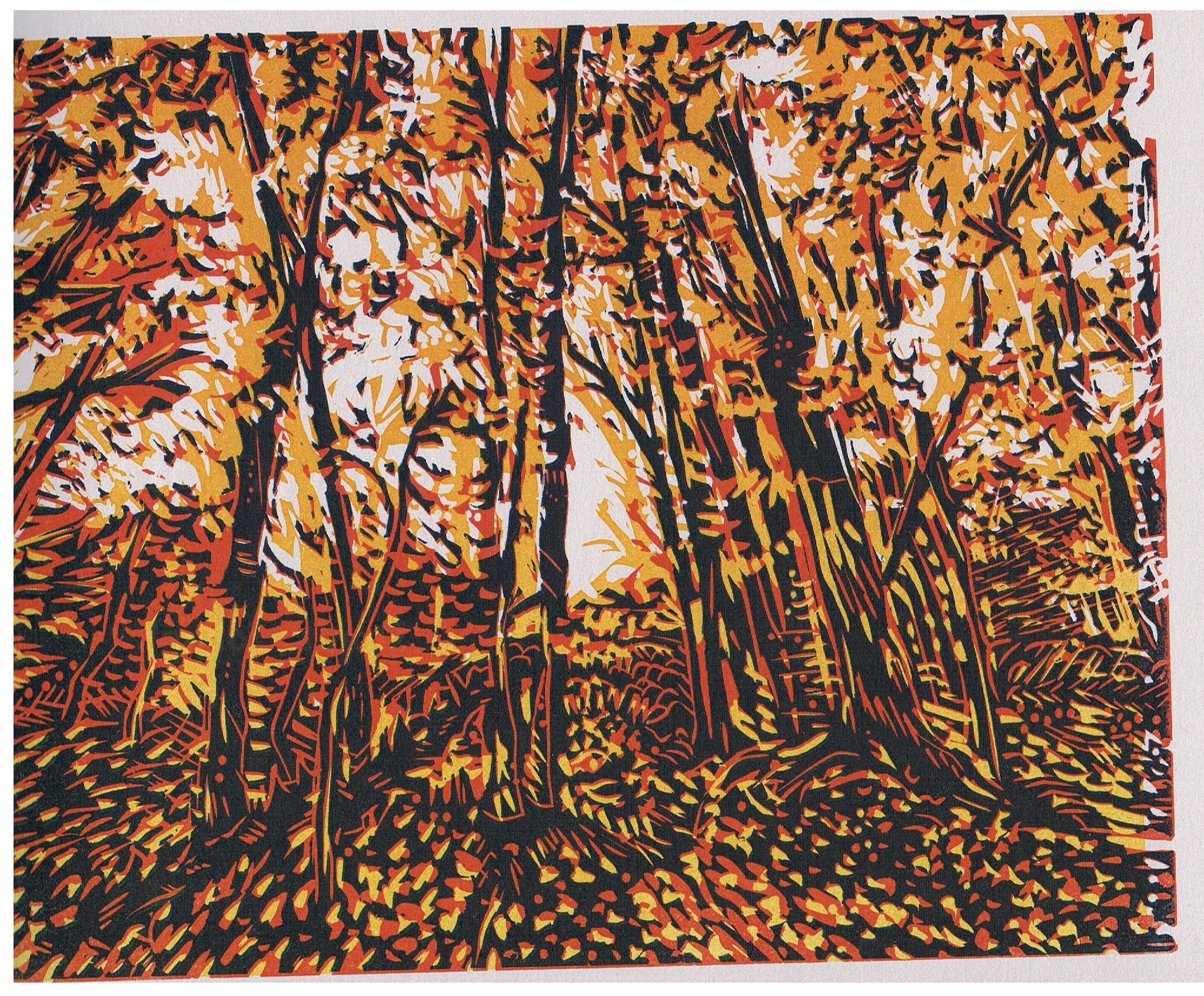 Woodbine Park Colours