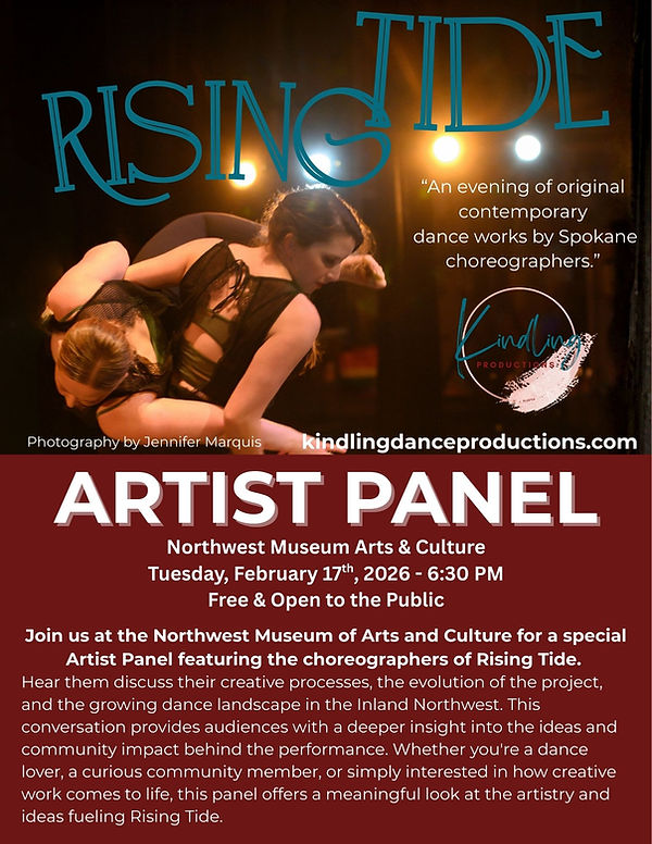 Season 3 Rising Tide Artist Panel.jpg