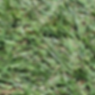 f4474c_782618ce7b7740949114712f2e6a6c13_mv2_d_5184_3456_s_4_2.webp