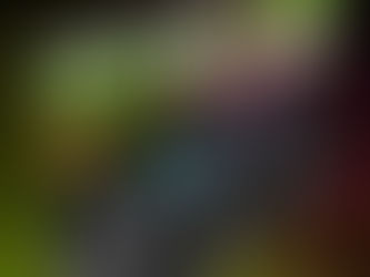 디앤디, 2610MHz 클럭의 골든샘플! 게인워드 RTX 4090 팬텀 GS D6X 24GB 출시