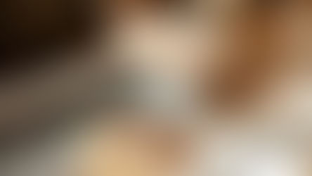 A IA vai substituir o tradutor?