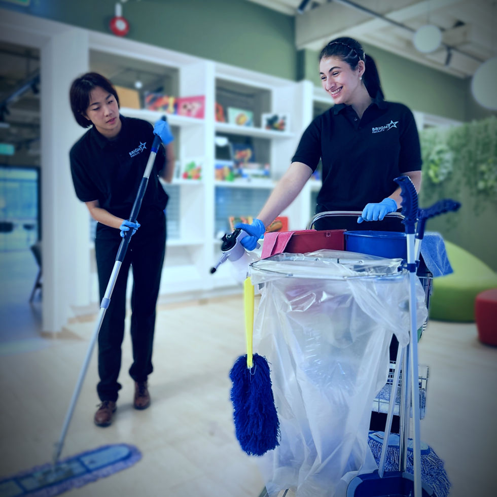 renholdstjenester_små_bilder1_edited_edited