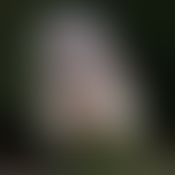 Who Gives a Hoot About Owls