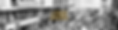 Header Schriftzug klein.png