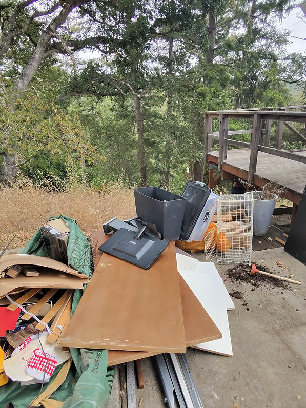 Discarded furniture and household items outdoors near trees