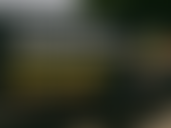 Top Junk Removal Services Near You