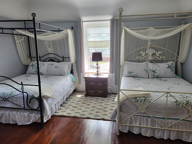 Hummingbird beds.jpg