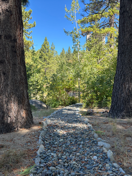 Pathway between trees leads through the landscaping towards the trees and forest