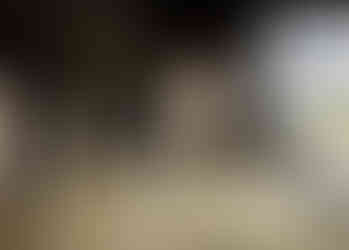 Ambiente_1_Cottage_Honey_Hires