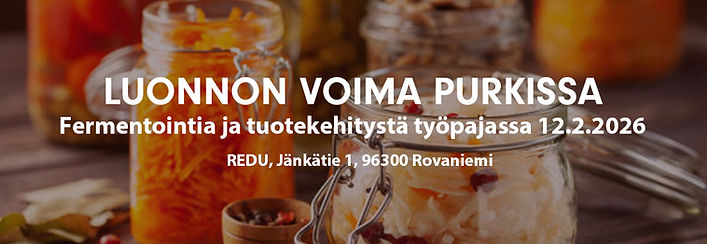 Nettisivujen preview.jpg