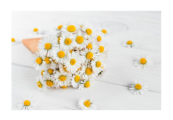 WHITE Studio, décoration florale et scénographie vegetale, floral design, Décoradora en Paris, WHITE estudio especializado en decoración y diseño floral