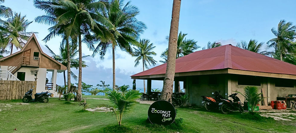 The Coconut Nut, Isla Alegria