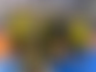 ✅Confiram mais fotos do Nortão Cup de Handebol que aconteceu em Sorriso✅